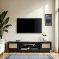 Faux Rattan-Door TV Stand