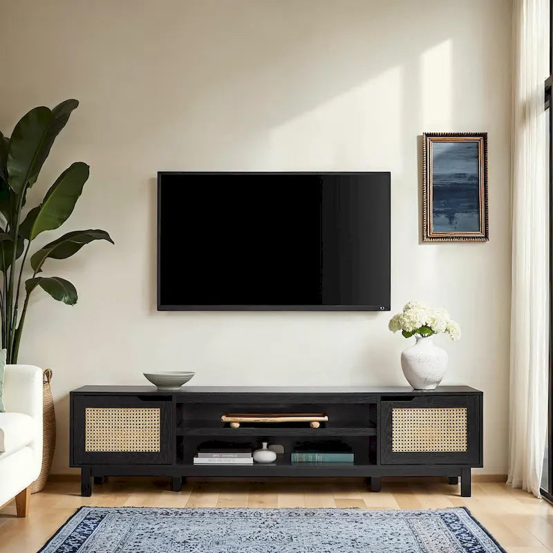 Faux Rattan-Door TV Stand