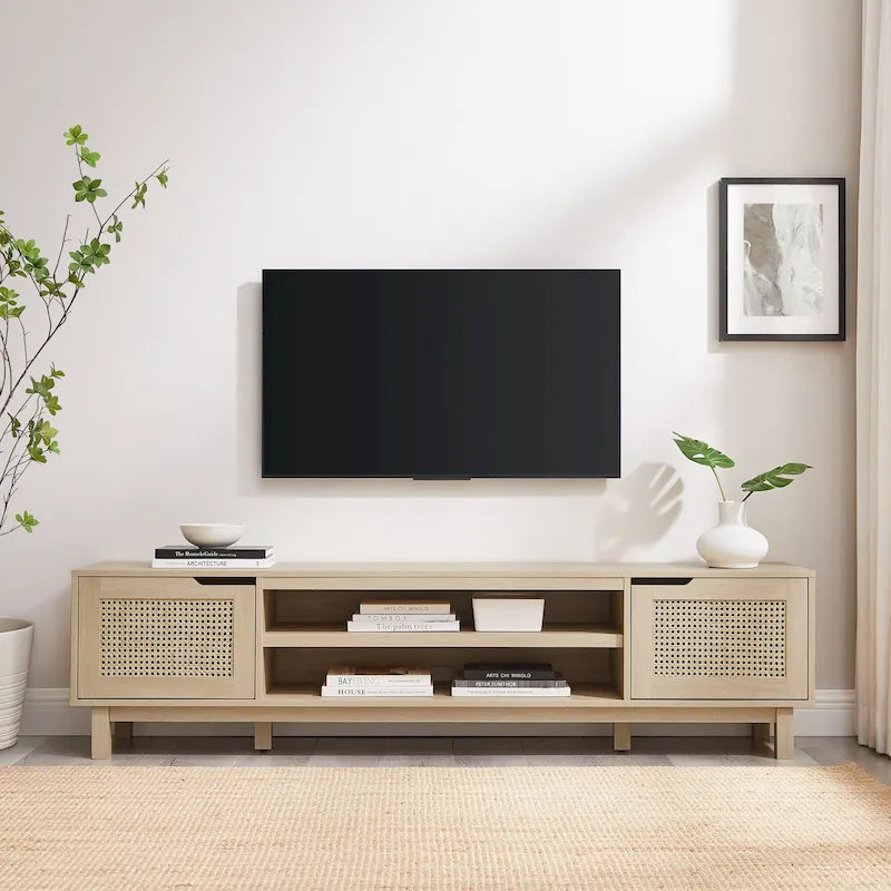 Faux Rattan-Door TV Stand