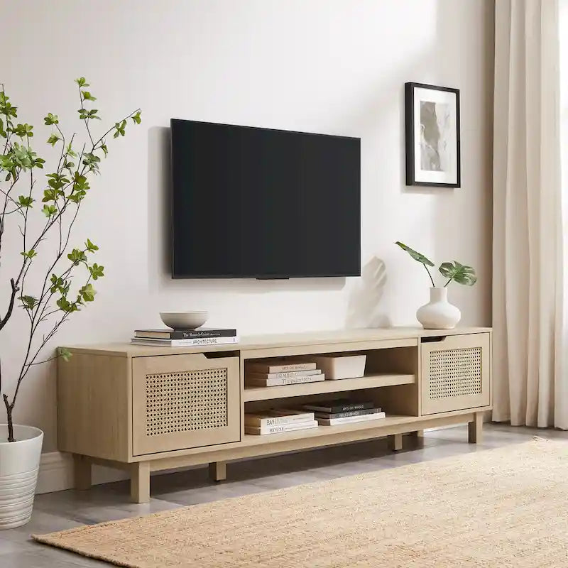 Faux Rattan-Door TV Stand