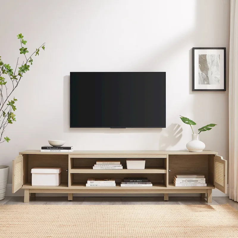 Faux Rattan-Door TV Stand