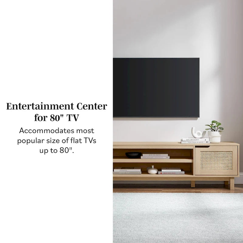 Faux Rattan-Door TV Stand