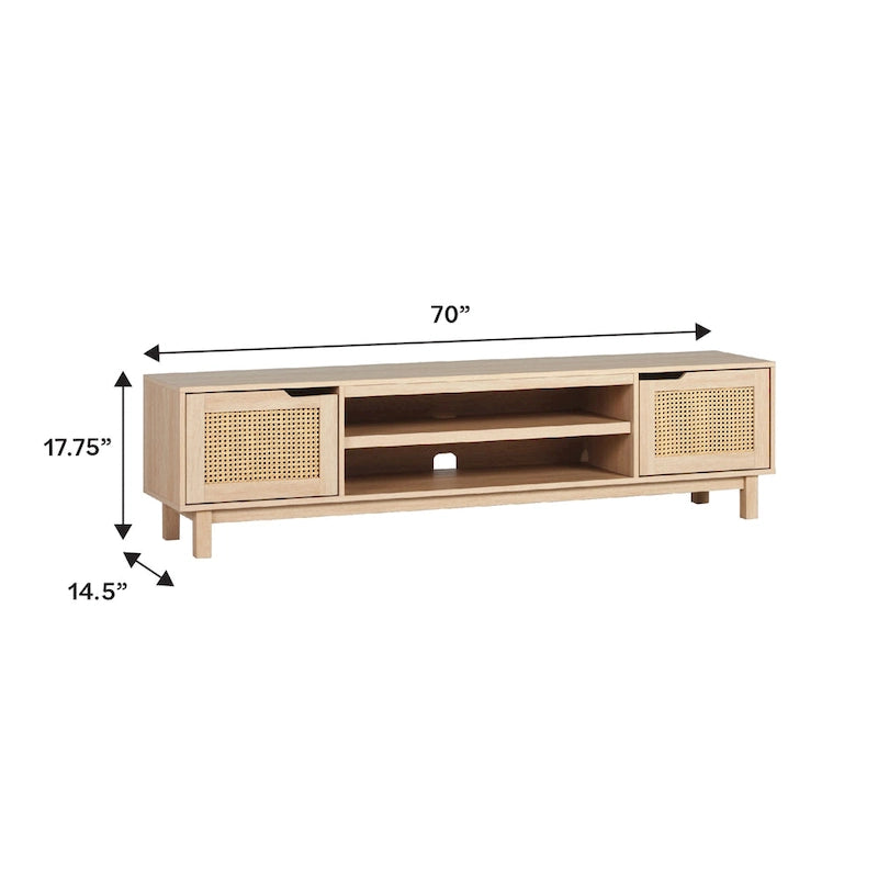 Faux Rattan-Door TV Stand