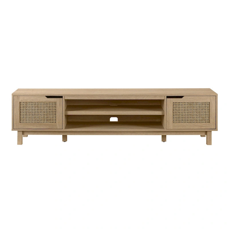 Faux Rattan-Door TV Stand