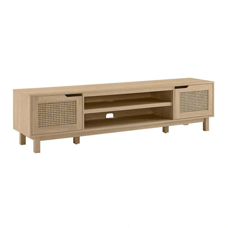 Faux Rattan-Door TV Stand