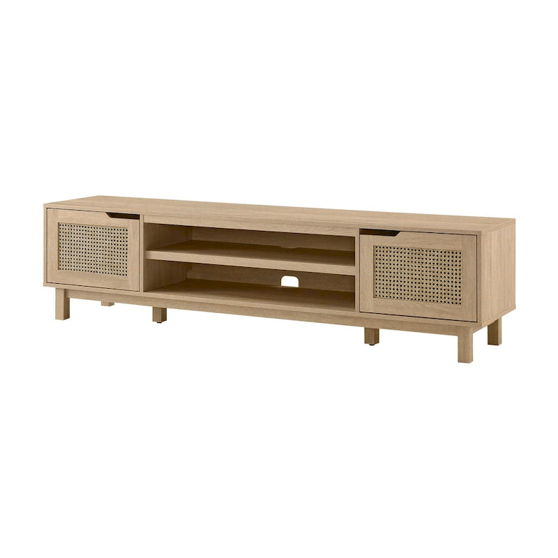 Faux Rattan-Door TV Stand