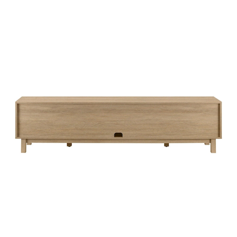 Faux Rattan-Door TV Stand