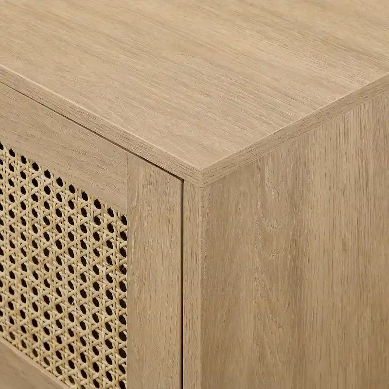 Faux Rattan-Door TV Stand
