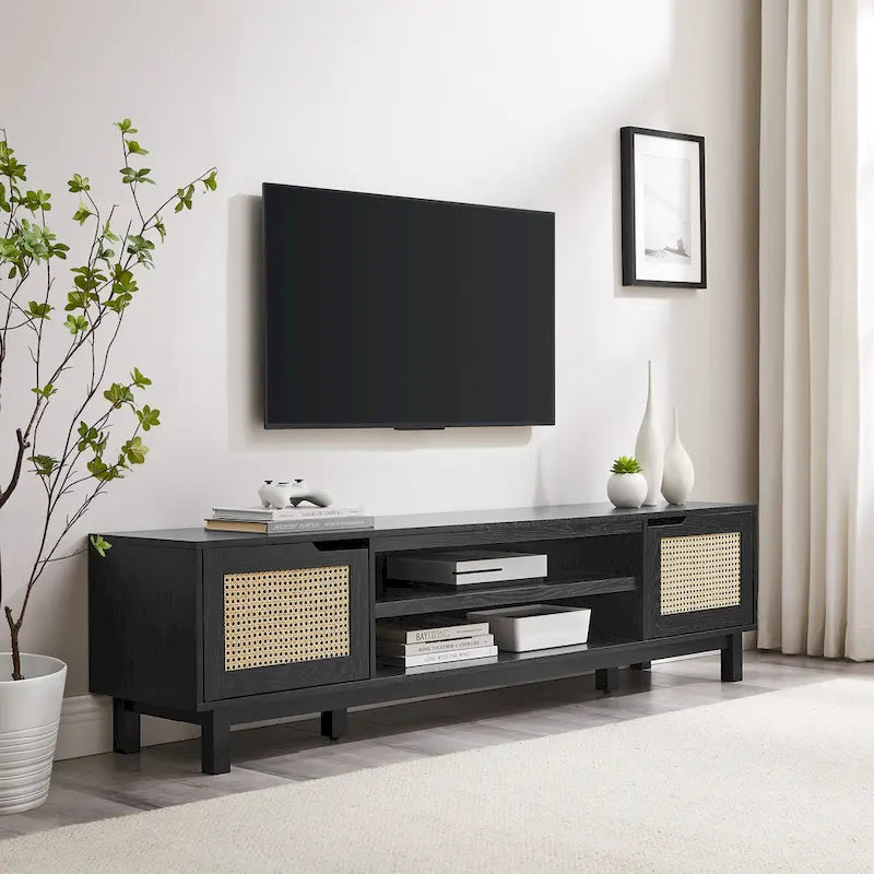 Faux Rattan-Door TV Stand