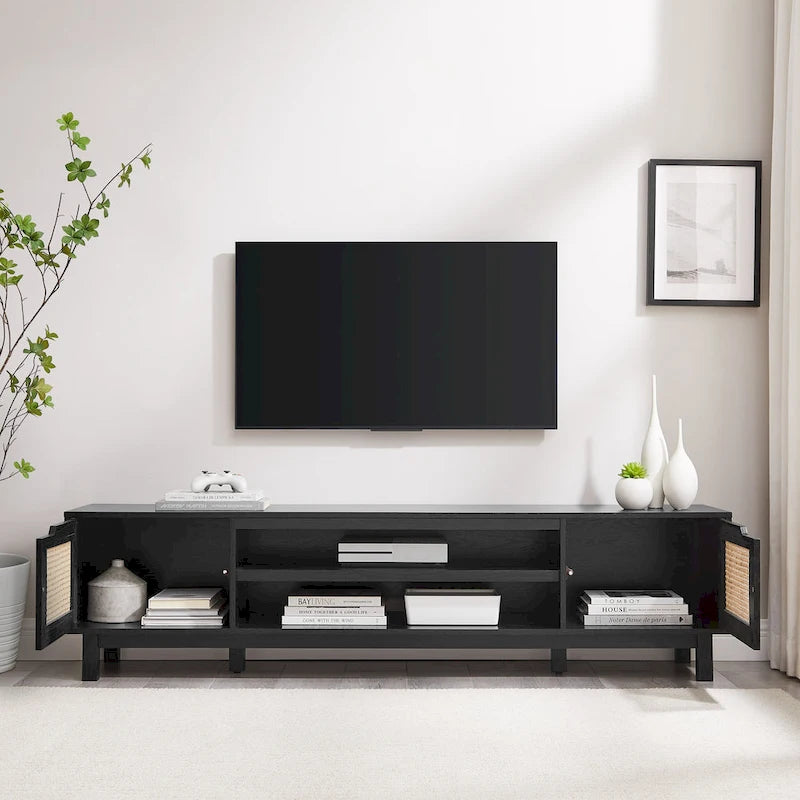 Faux Rattan-Door TV Stand