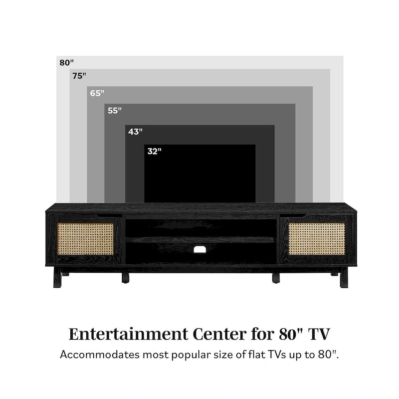 Faux Rattan-Door TV Stand