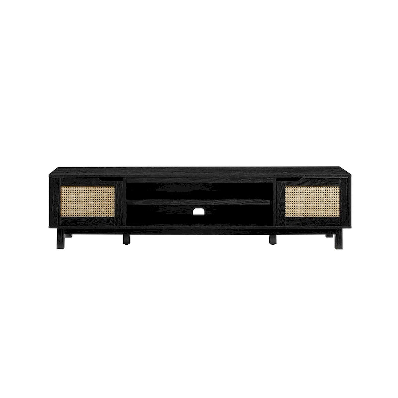 Faux Rattan-Door TV Stand