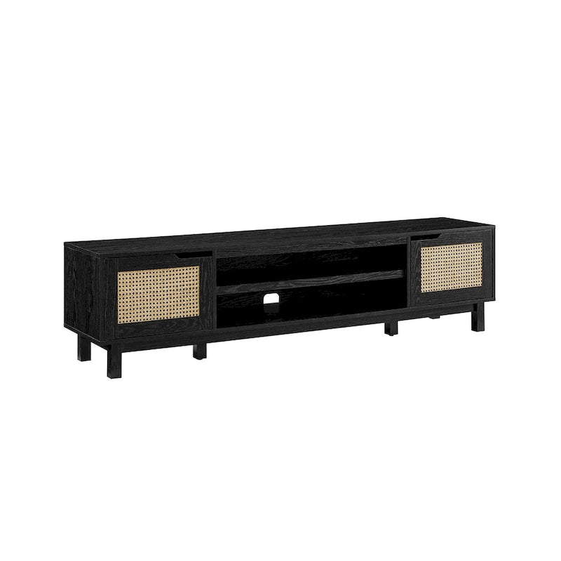 Faux Rattan-Door TV Stand