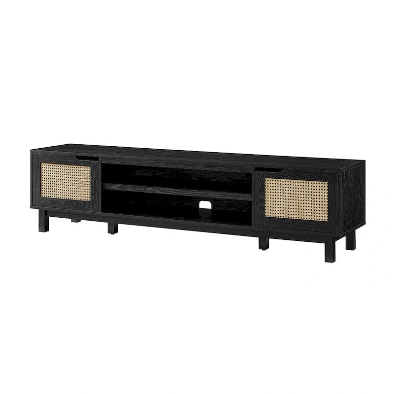 Faux Rattan-Door TV Stand