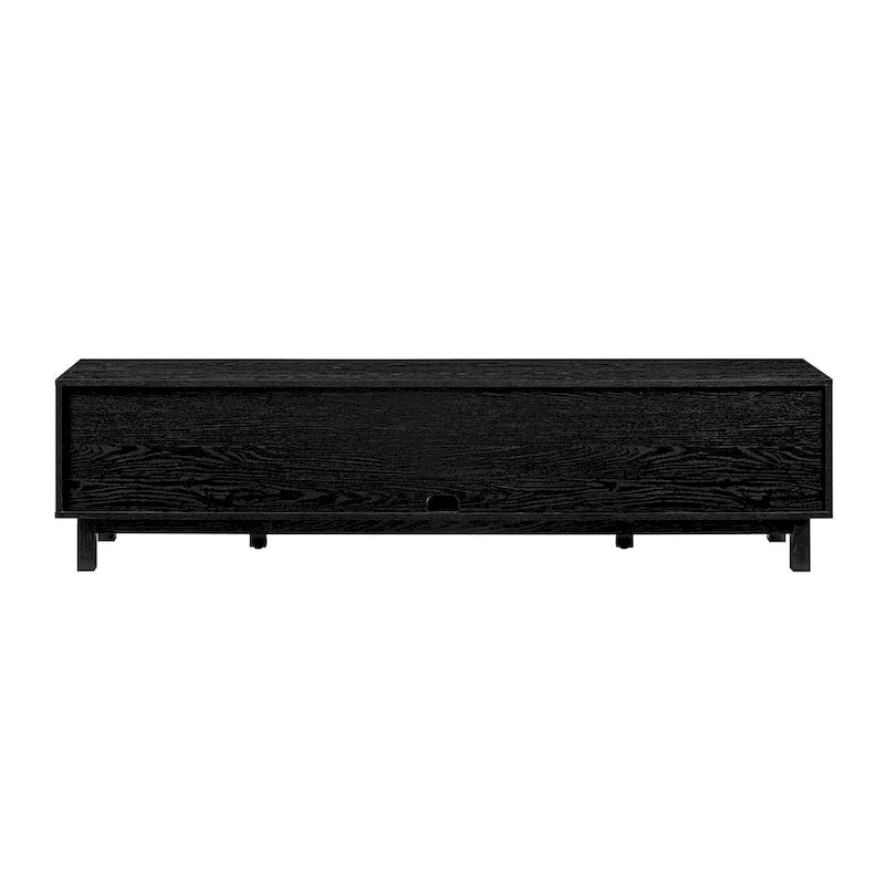 Faux Rattan-Door TV Stand