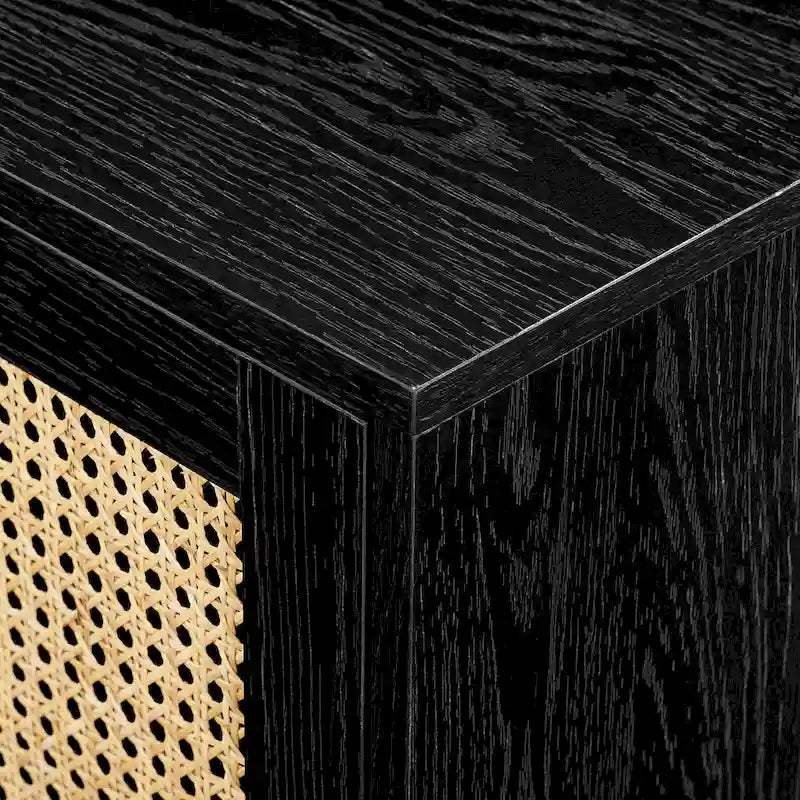 Faux Rattan-Door TV Stand